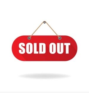 BLANQI Everyday Maternity Belly Support Leggings